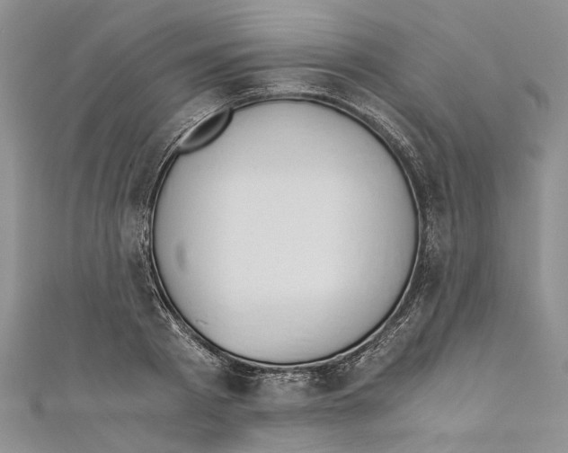 X0000110670793200907101105