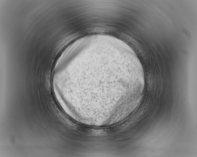 X0000110670794200907101105