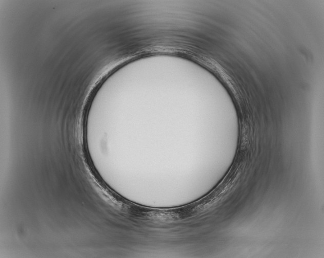 X0000110670795200907101105