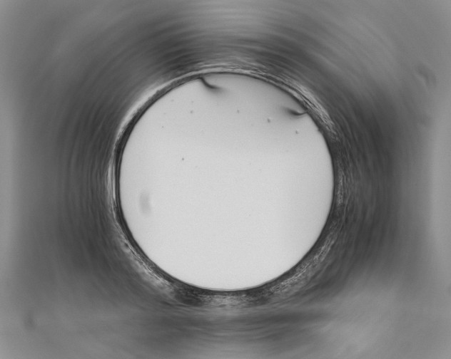 X0000110670796200907101105