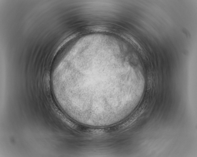 X0000110670798200907101105