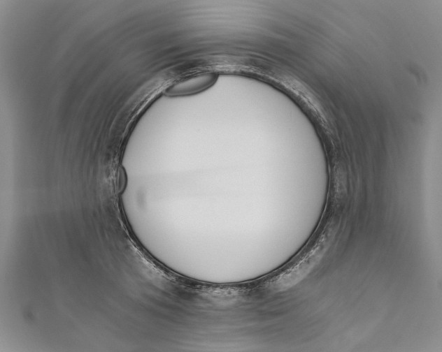 X0000110670801200907101105