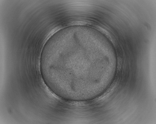 X0000110670802200907101105
