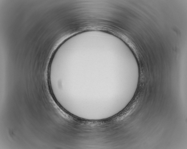 X0000110670803200907101105