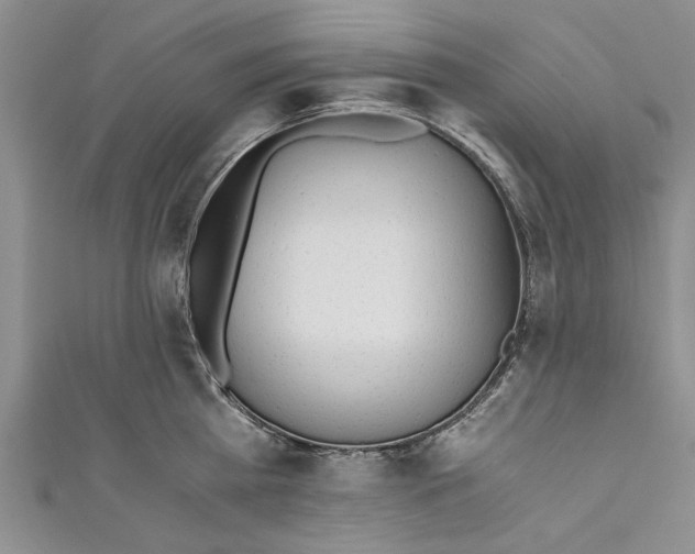 X0000110670809200907101105