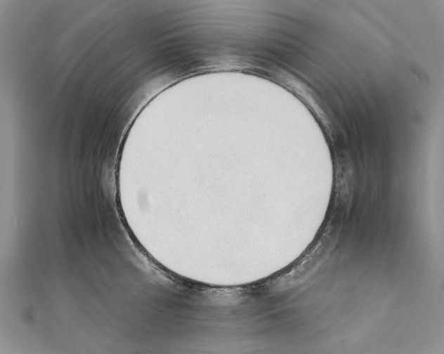 X0000110670810200907101105
