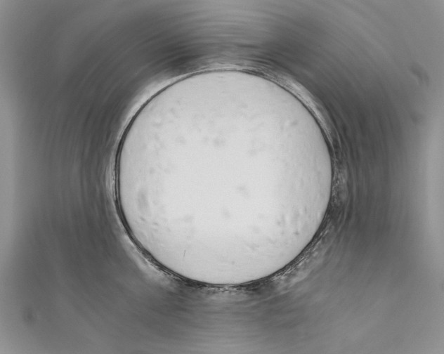 X0000110670811200907101105