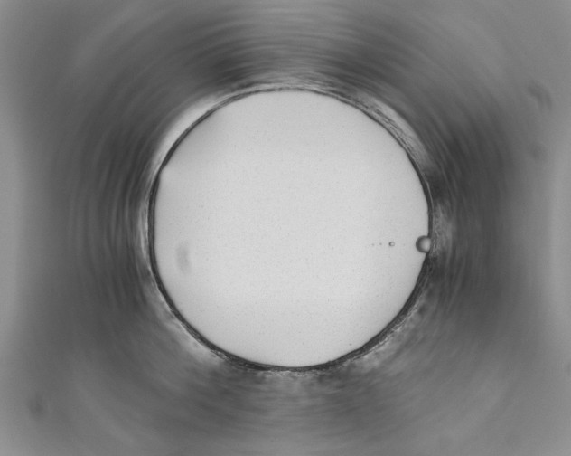 X0000110670812200907101105