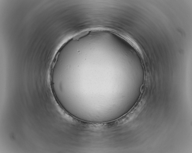 X0000110670813200907101105