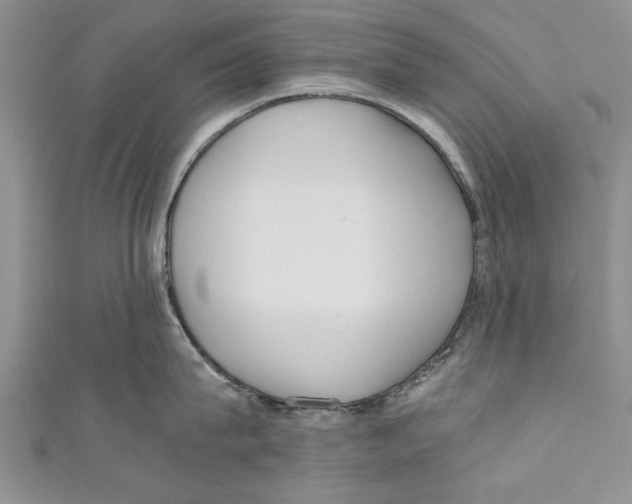 X0000110670815200907101105