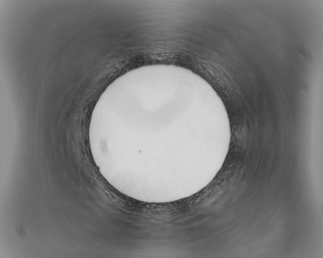 X0000110670817200907101104