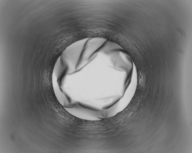 X0000110670819200907101104