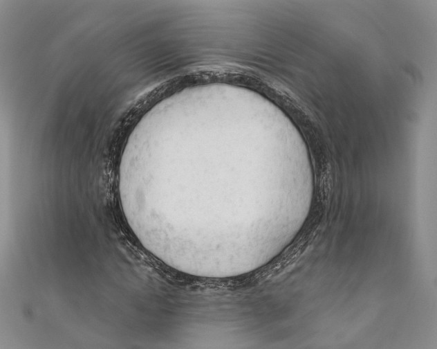 X0000110670822200907101104