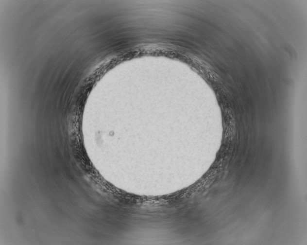 X0000110670824200907101104