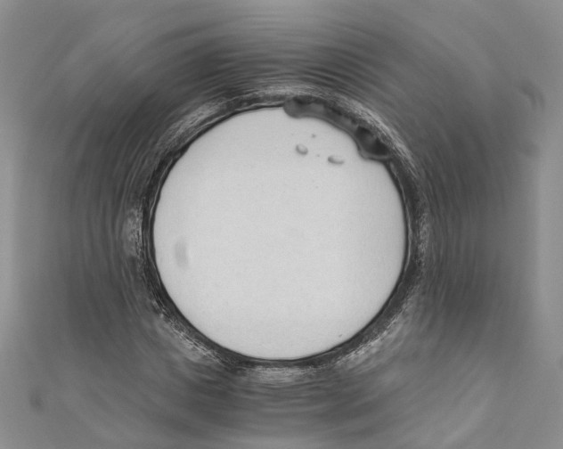 X0000110670825200907101104