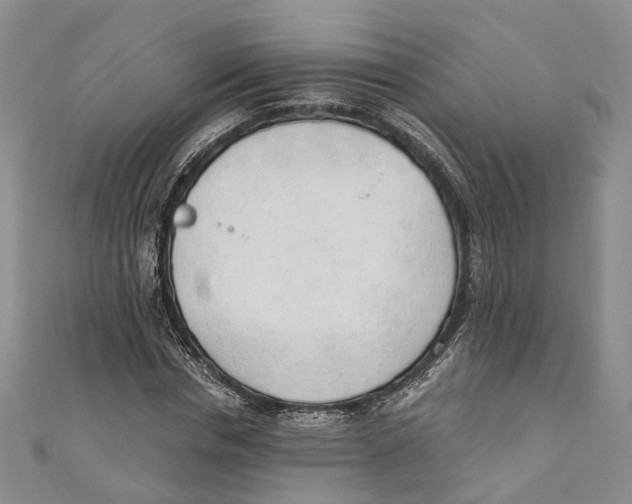 X0000110670826200907101104