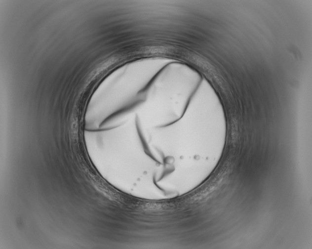 X0000110670827200907101104