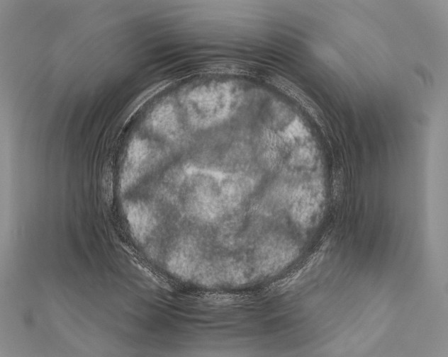 X0000110670829200907101104