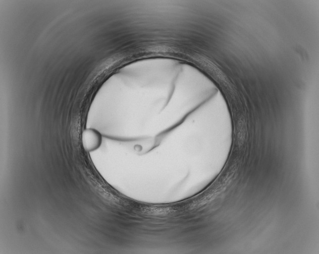 X0000110670831200907101104