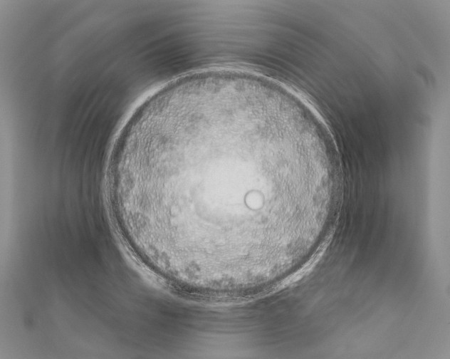 X0000110670832200907101104