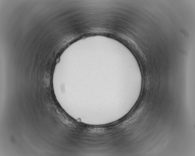 X0000110670833200907101104