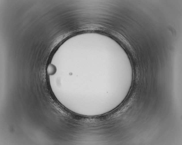 X0000110670834200907101104
