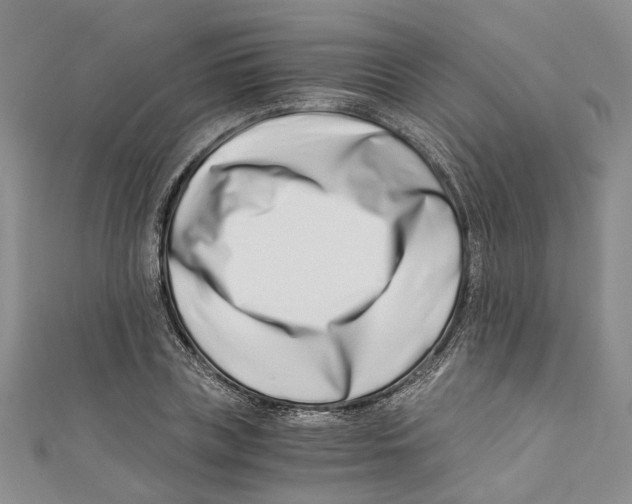 X0000110670835200907101104