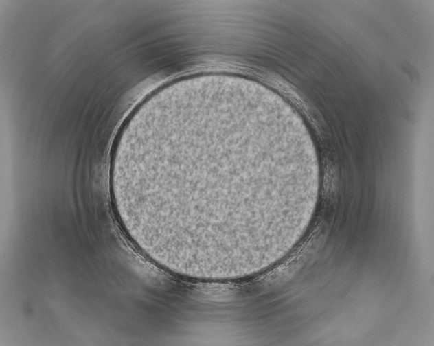 X0000110670836200907101104