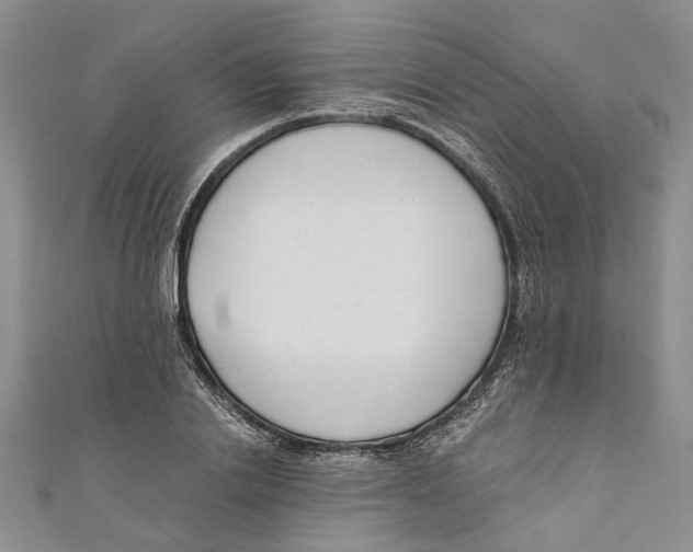 X0000110670838200907101104