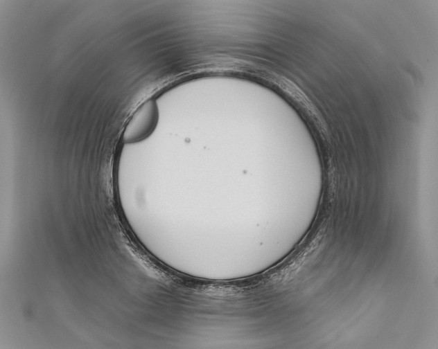 X0000110670842200907101104