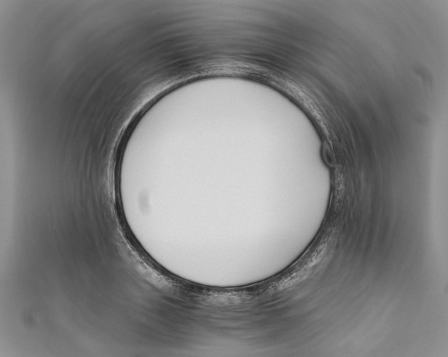 X0000110670843200907101104