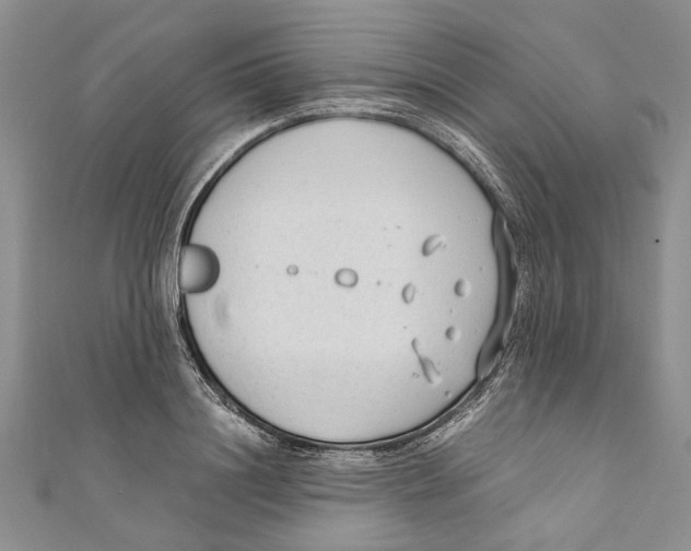 X0000110670844200907101104