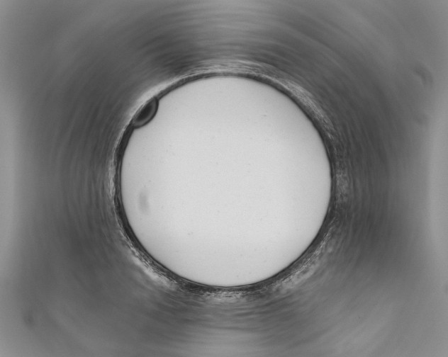 X0000110670846200907101104
