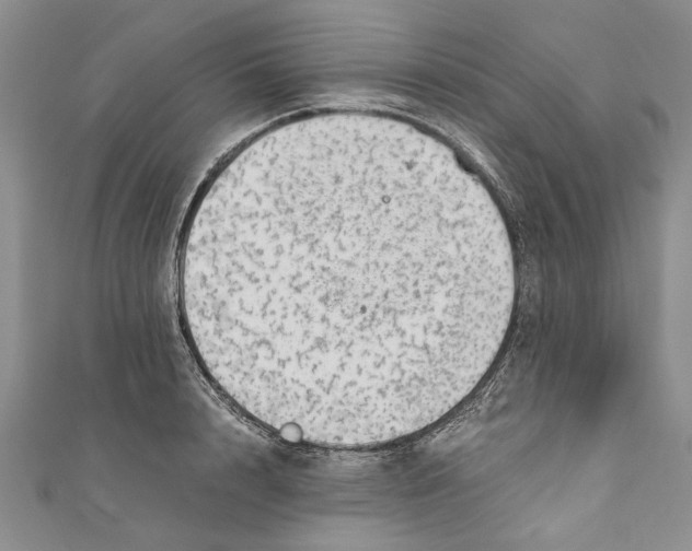 X0000110670848200907101104