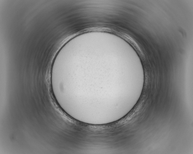 X0000110670852200907101105