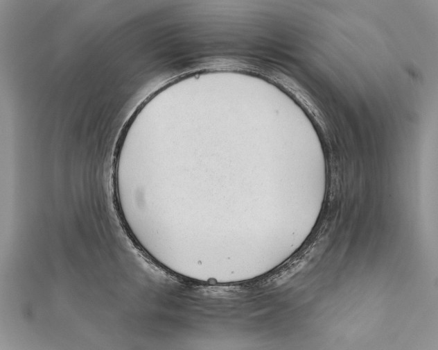 X0000110670853200907101105