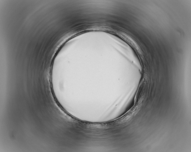 X0000110670855200907101105