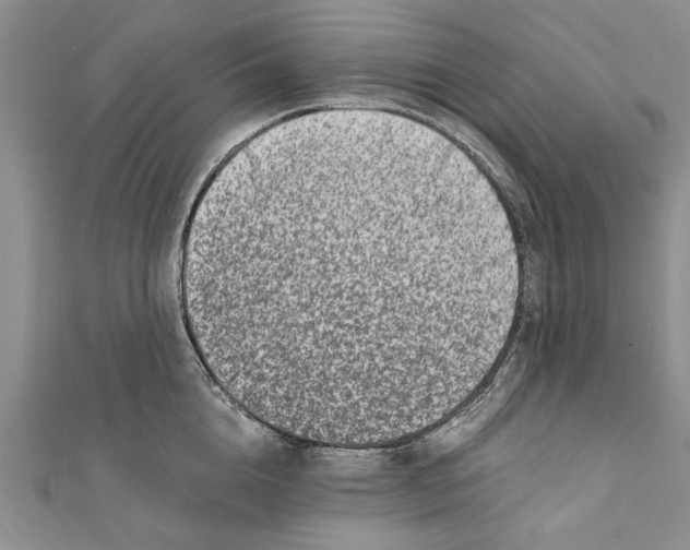 X0000110670856200907101105