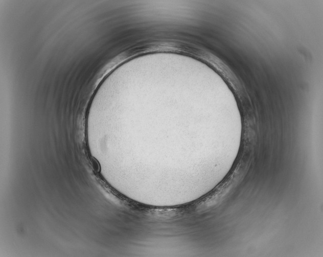 X0000110670858200907101105