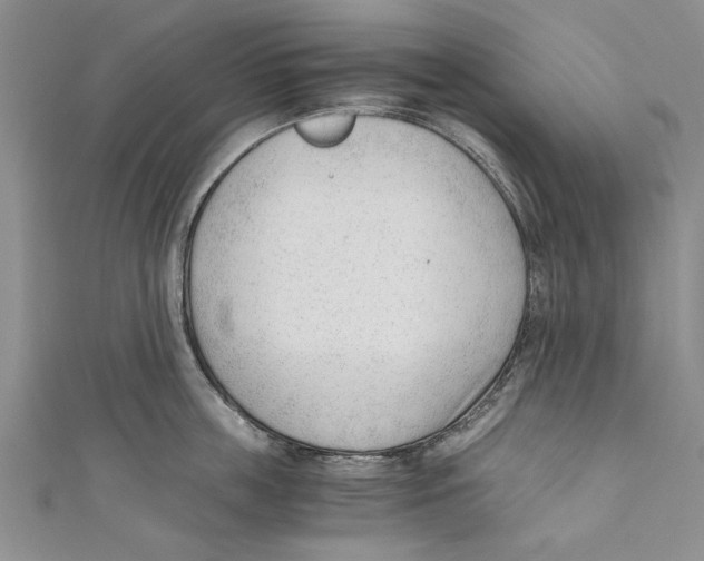 X0000110670859200907101105