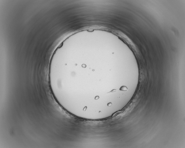 X0000110670860200907101105