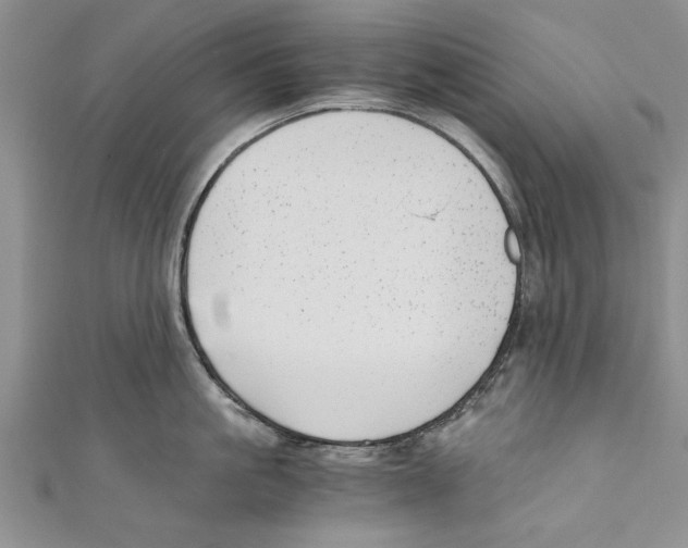 X0000110670861200907101105