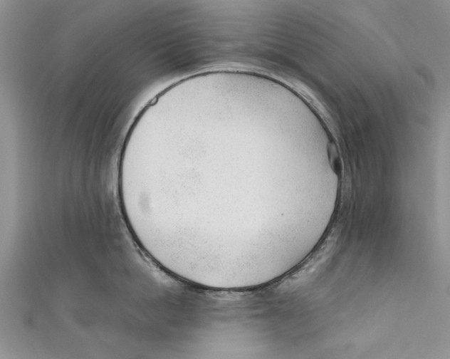 X0000110670862200907101105