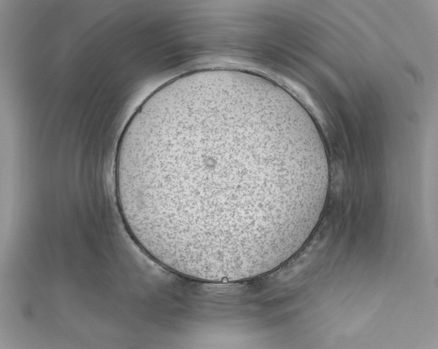 X0000110670863200907101105