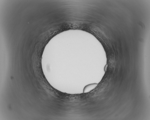X0000110670865200907101104