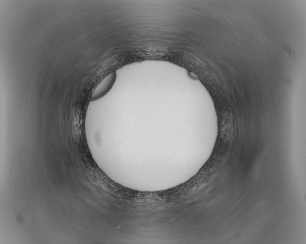 X0000110670866200907101104