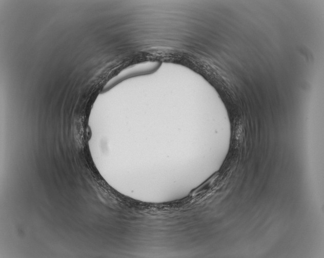 X0000110670868200907101104