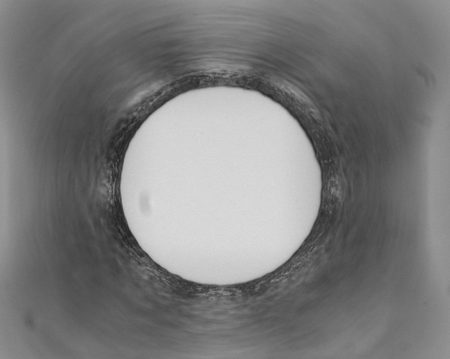 X0000110670869200907101104