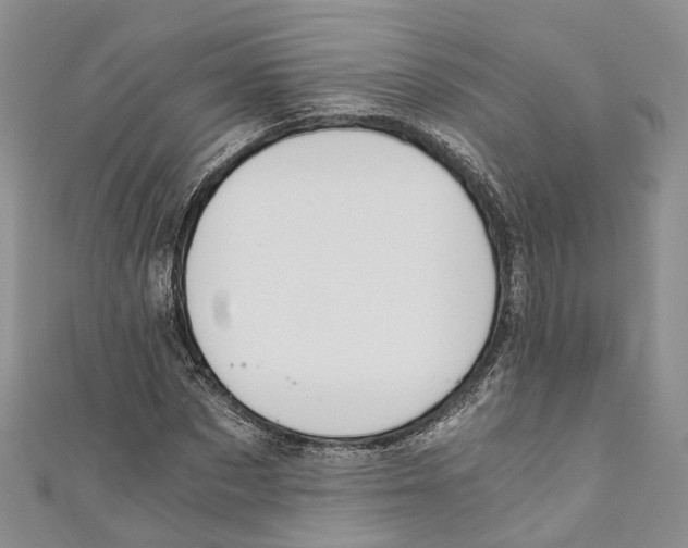 X0000110670873200907101104