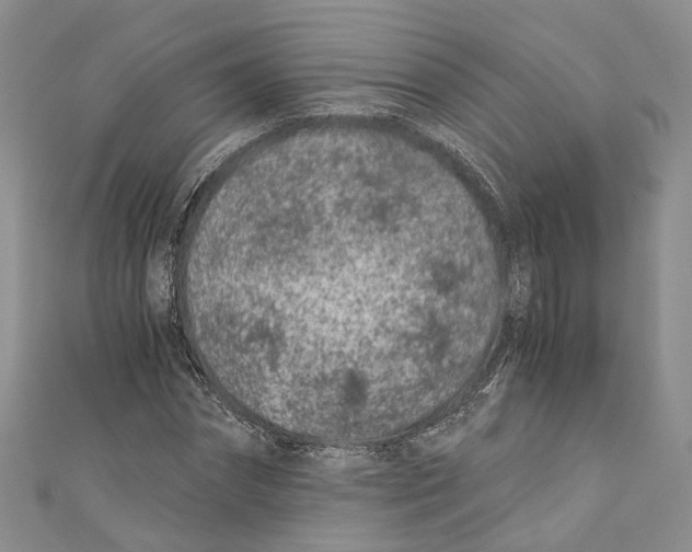X0000110670874200907101104